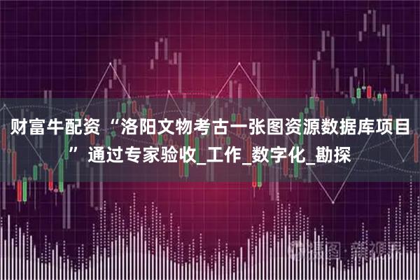 财富牛配资 “洛阳文物考古一张图资源数据库项目” 通过专家验收_工作_数字化_勘探