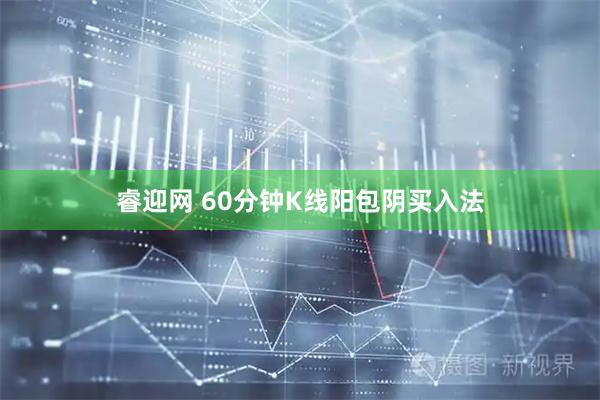 睿迎网 60分钟K线阳包阴买入法